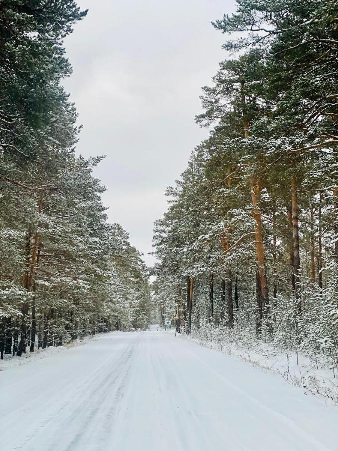 Forest And Lake Borovoe Exterior photo